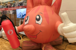 Pályaorientációs nap a fővárosban