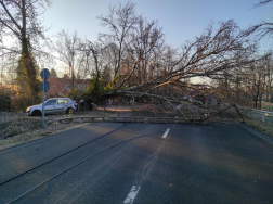Kidőlt fánál avatkoznak be a fonyódi önkéntesek