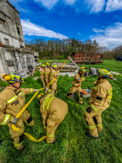 Romkutatás pillanatai