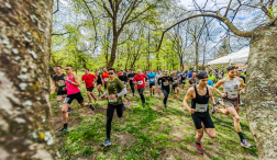 Futóverseny pillanatai