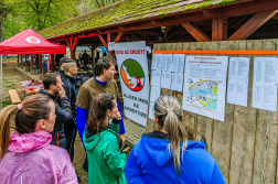 Futóverseny pillanatai