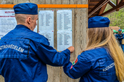 Futóverseny pillanatai