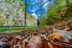 Futóverseny pillanatai