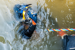 Katasztrófavédelem