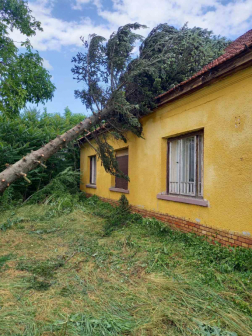 Katasztrófavédelem