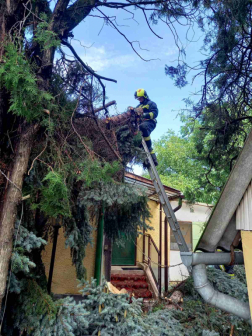 Katasztrófavédelem