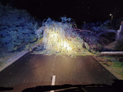 Katasztrófavédelem