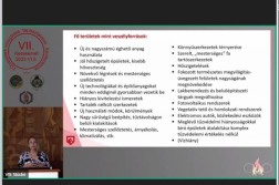 Tűzesetek vizsgálata és tapasztalatai – konferencia Kecskeméten