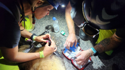  Gyakorlat mozzanatai