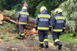 Katasztrófavédelem