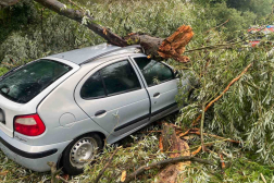 Katasztrófavédelem