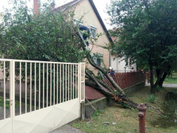 Viharkárok Pest vármegyében