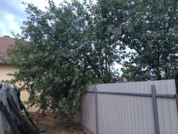 Viharkárok Békés vármegyében