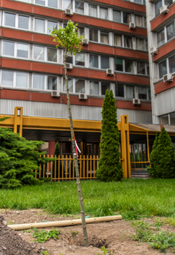 Katasztrófavédelem