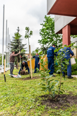 Katasztrófavédelem