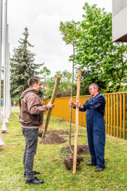 Katasztrófavédelem