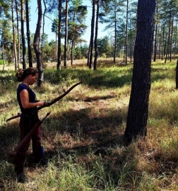 Katasztrófavédelem