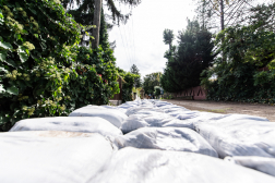 Katasztrófavédelem