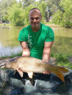 Katasztrófavédelem