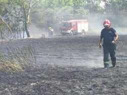 Katasztrófavédelem