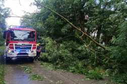 Katasztrófavédelem