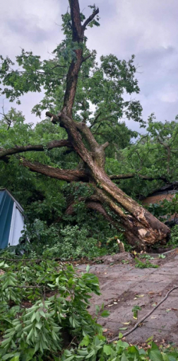 Katasztrófavédelem