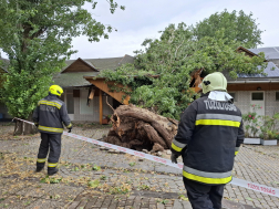 Katasztrófavédelem