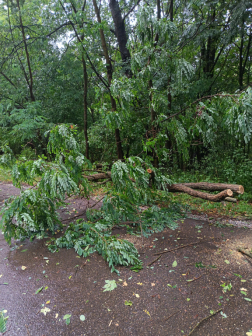 Katasztrófavédelem