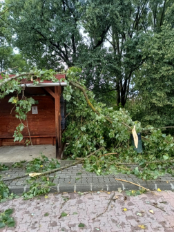 Katasztrófavédelem