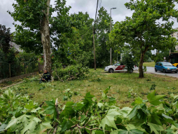 Katasztrófavédelem