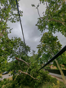 Katasztrófavédelem