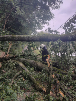 Katasztrófavédelem