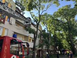 Katasztrófavédelem