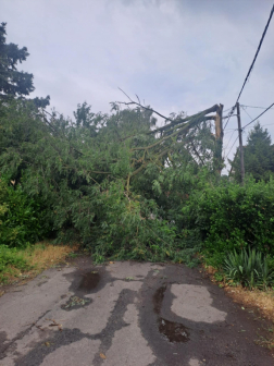 Katasztrófavédelem