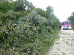 Katasztrófavédelem