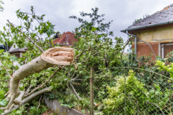 Katasztrófavédelem