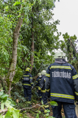 Katasztrófavédelem