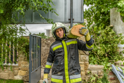 Katasztrófavédelem