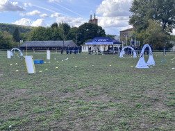 Katasztrófavédelem