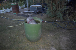 Katasztrófavédelem