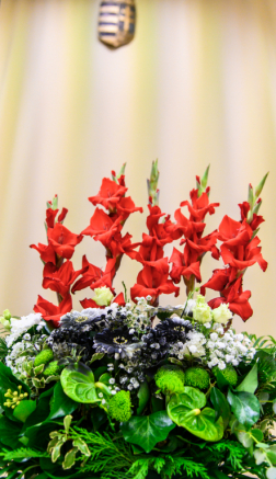 Katasztrófavédelem