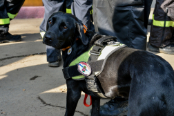 Katasztrófavédelem