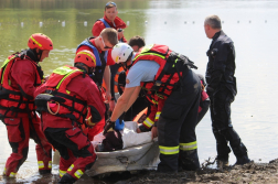 Katasztrófavédelem