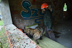 Katasztrófavédelem