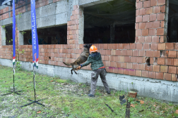 Katasztrófavédelem