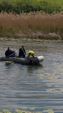 Katasztrófavédelem