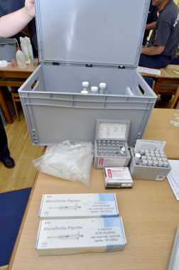 Katasztrófavédelem