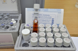 Katasztrófavédelem