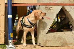 Katasztrófavédelem