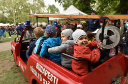 Katasztrófavédelem